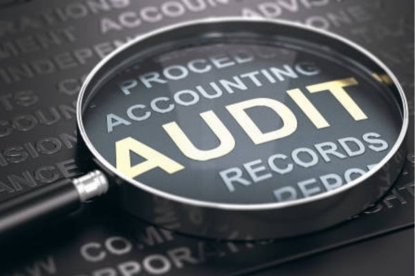  Audit Services 